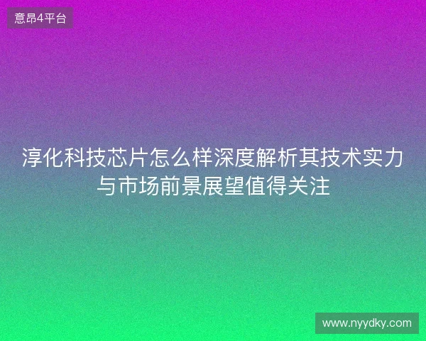 淳化科技芯片怎么样深度解析其技术实力与市场前景展望值得关注